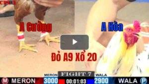 Trận 7 CPC1 10/6/2025