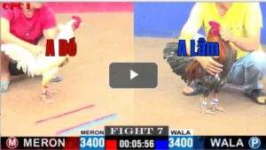 Trận 7 CPC1 24/6/2025