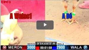 Trận 8 CPC1 26/6/2025