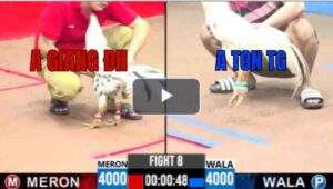 Trận 8 CPC3 29/6/2025