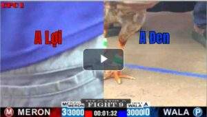 Trận 9 CPC1 26/6/2025