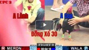 Trận 9 CPC2 4/6/2025