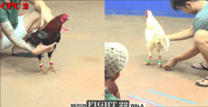 Trận 22 CPC2 20/7/2025 - Bảo Sting Tiễn Tùng Hóc Môn Đi Bình Dương