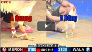 Trận 1 CPC1 19/7/2025