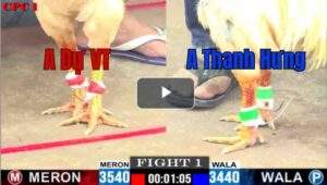 Trận 1 CPC1 3/7/2025