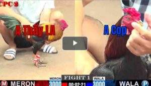 Trận 1 CPC2 13/7/2025