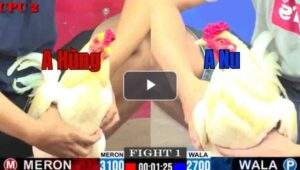 Trận 1 CPC2 16/7/2025