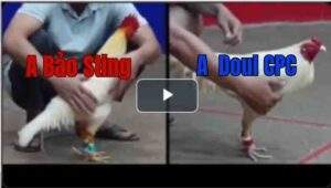 Trận 1 Tonhon 18/7/2025