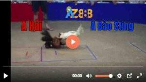 Trận 1 Tonhon 6/7/2025