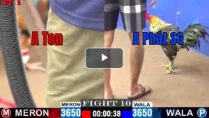 Trận 10 CPC1 10/7/2025