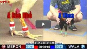 Trận 10 CPC1 5/7/2025