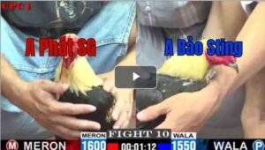 Trận 10 CPC1 7/7/2025