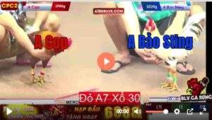 Trận 10 CPC2 27/7/2025