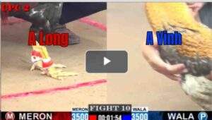 Trận 10 CPC2 4/7/2025