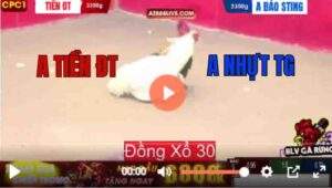 Trận 10 CPC3 26/7/2025