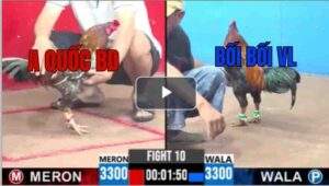 Trận 10 CPC3 8/7/2025