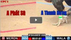 Trận 12 CPC1 10/7/2025