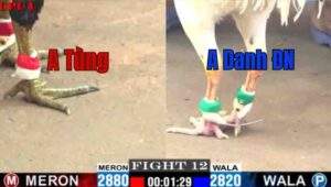 Trận 12 CPC1 1/7/2025