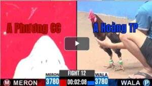 Trận 12 CPC3 12/7/2025