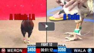 Trận 12 CPC3 3/7/2025