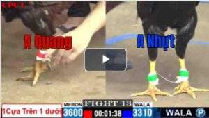 Trận 13 CPC1 19/7/2025