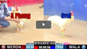 Trận 13 CPC1 3/7/2025