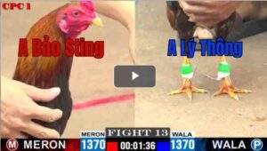 Trận 13 CPC1 7/7/2025