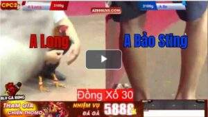 Trận 13 CPC2 16/7/2025