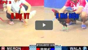 Trận 13 CPC2 4/7/2025