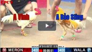 Trận 13 CPC2 9/7/2025