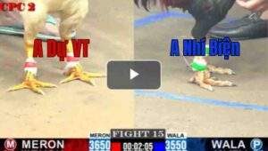 Trận 15 CPC2 4/7/2025