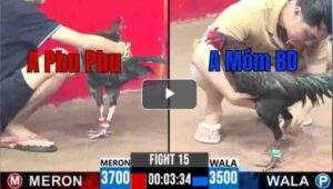 Trận 15 CPC3 12/7/2025