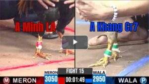 Trận 15 CPC3 3/7/2025