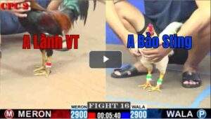 Trận 16 CPC2 27/7/2025