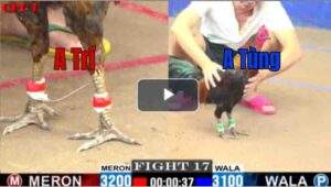 Trận 17 CPC1 5/7/2025