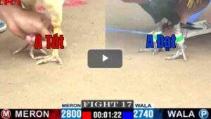 Trận 17 CPC1 7/14/2025