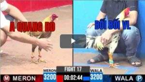 Trận 17 CPC3 8/7/2025