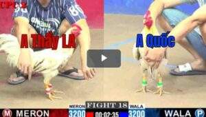 Trận 18 CPC2 13/7/2025