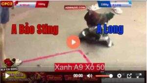 Trận 18 CPC2 16/7/2025