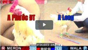 Trận 18 CPC2 30/7/2025