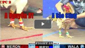 Trận 18 CPC2 9/7/2025