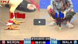 Trận 19 CPC1 15/7/2025