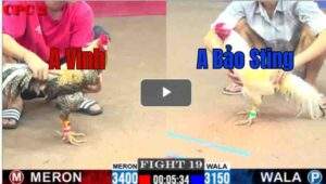 Trận 19 CPC2 2/7/2025