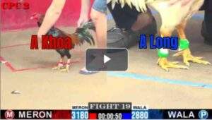 Trận 19 CPC2 30/7/2025