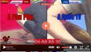 Trận 19 CPC3 12/7/2025