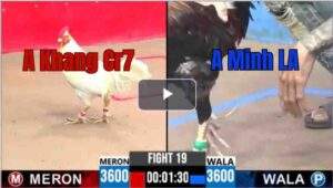 Trận 19 CPC3 3/7/2025