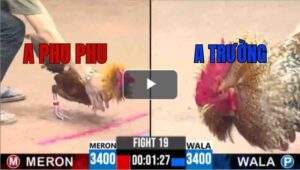 Trận 19 CPC3 5/7/2025