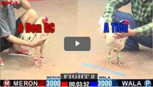 Trận 2 CPC1 1/7/2025