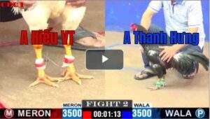 Trận 2 CPC1 5/7/2025