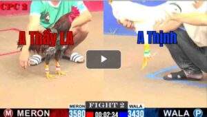 Trận 2 CPC2 11/7/2025